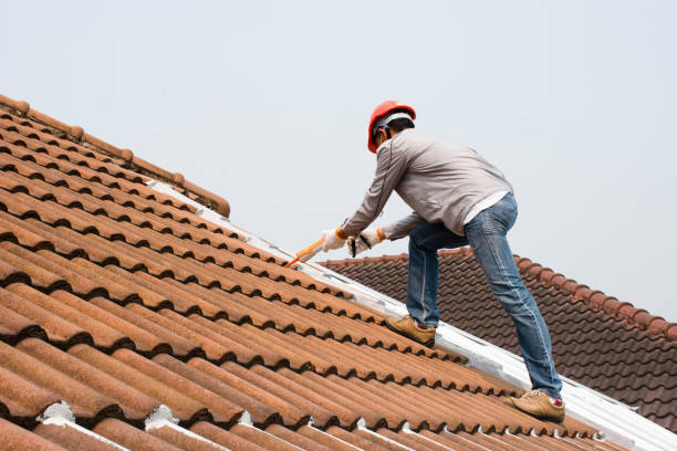 Reliable Eastwood, MI Roofing service Solutions