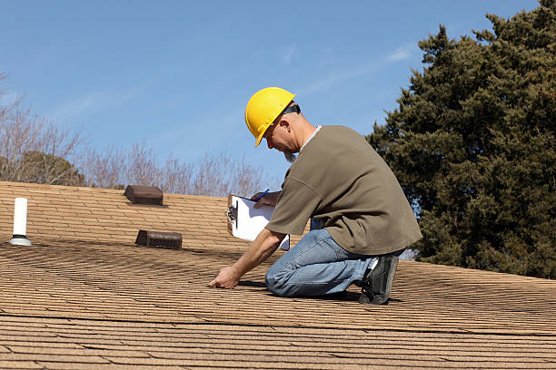 Best Roof Moss and Algae Removal  in Eastwood, MI